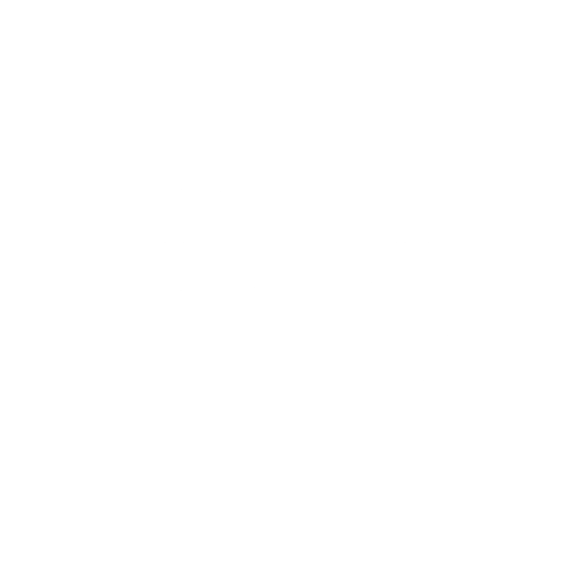 logo-onex white